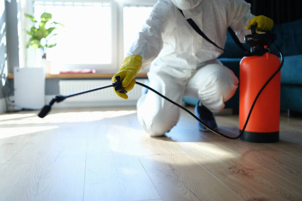Reliable Odor Removal contractor in Madison, WI by Trauma Clean Pros